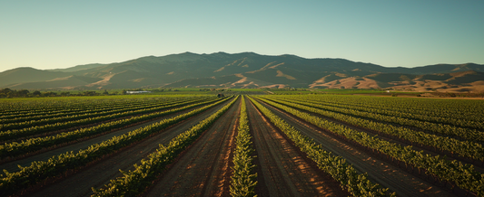 Future Outlook: Why Now Is the Time to Invest in Land